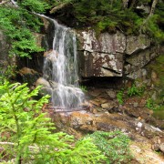 IMG8335.jpg