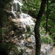 IMG8336.jpg