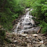 IMG8338.jpg