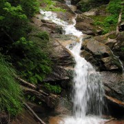 IMG8342.jpg
