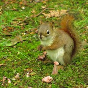 IMG8387.jpg