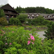 IMG8397.jpg