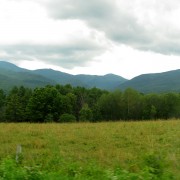 IMG8400.jpg