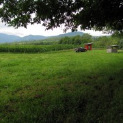 IMG8412.jpg