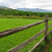 IMG8416.jpg