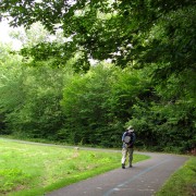 IMG8430.jpg