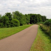 IMG8433.jpg
