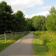 IMG8438.jpg