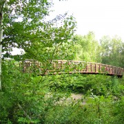 IMG8440.jpg
