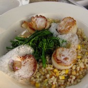 IMG8447.jpg