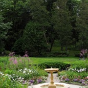 IMG8479.jpg