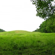 IMG8487.jpg