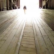 IMG8515.jpg
