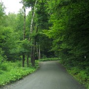 IMG8542.jpg