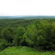 IMG8546.jpg