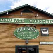 IMG8553.jpg