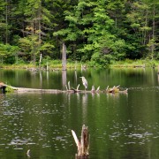 IMG8569.jpg