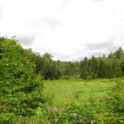 IMG8574.jpg