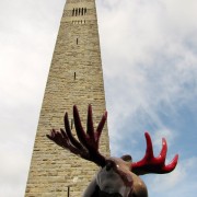 IMG8580.jpg