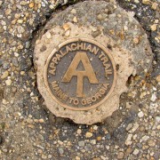 IMG8584.jpg