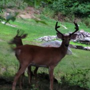 IMG8634.jpg