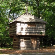 IMG8661.jpg