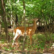 IMG8662.jpg