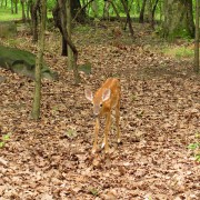 IMG8687.jpg