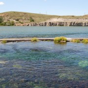 DSCN0700.jpg