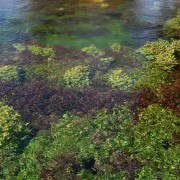 DSCN0702.jpg