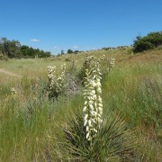 DSCN0706.jpg
