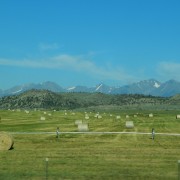 DSCN0793.jpg