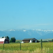 DSCN0800.jpg