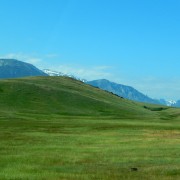 DSCN0808.jpg
