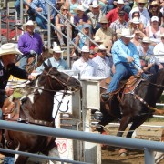 DSCN0967.jpg