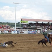 DSCN0990.jpg