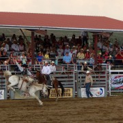 DSCN1062.jpg
