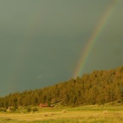 DSCN1105.jpg