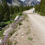 DSCN1125.jpg