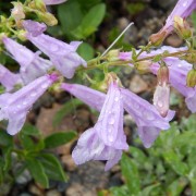DSCN1151.jpg