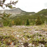 DSCN1167.jpg