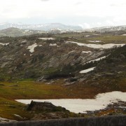 DSCN1216.jpg