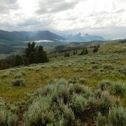 DSCN1237.jpg