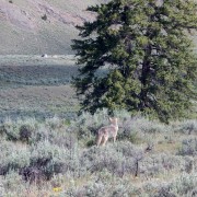 DSCN1307.jpg