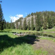 DSCN1318.jpg