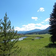 DSCN1321.jpg
