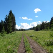 DSCN1344.jpg