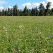 DSCN1347.jpg