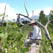 DSCN1356.jpg