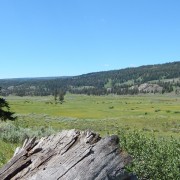 DSCN1393.jpg